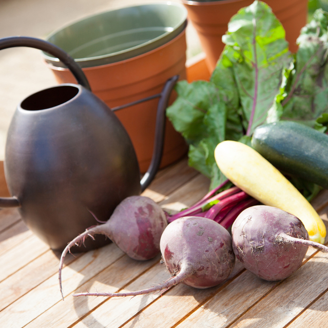 Terrena Apartments in Northridge CA | Rentals in Northridge CA